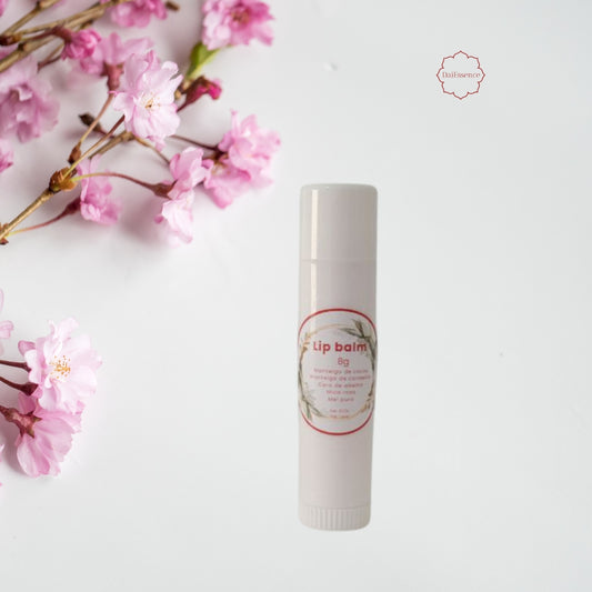 Lip Balm Hidratante Natural - Manteiga de Cacau e Mel